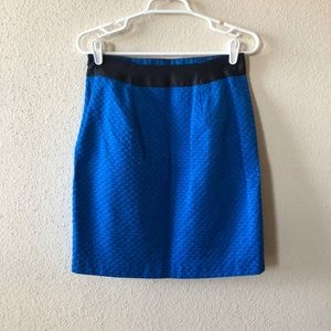 Women's Blue Skirt